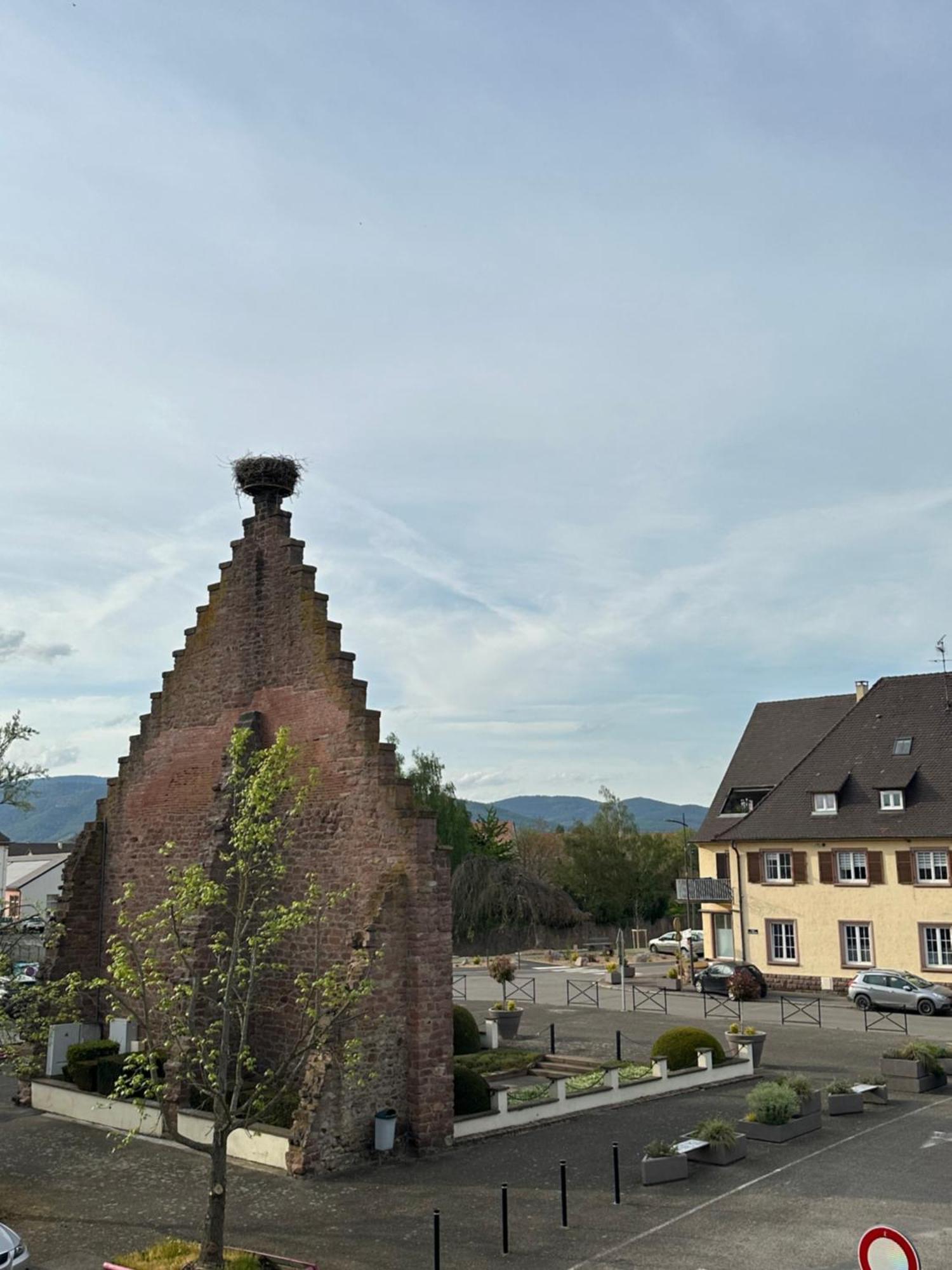 Hotel Au Nid De Cigognes Остхайм Экстерьер фото